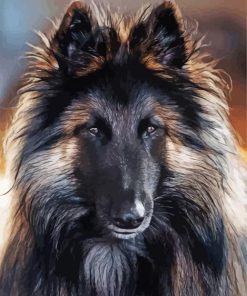 Belgian Tervuren Dog Animal paint by numbers