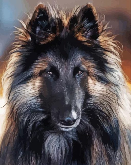 Belgian Tervuren Dog Animal paint by numbers