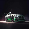 Bentley Sport Racing Car paint by numbers