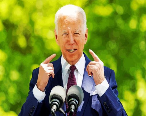 The American President Biden paint by numbers