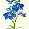 Blue Larkspur Art paint by numbers