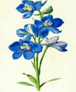 Blue Larkspur Art paint by numbers