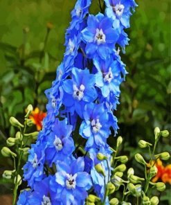 Blue Larkspur Flowers paint by numbers