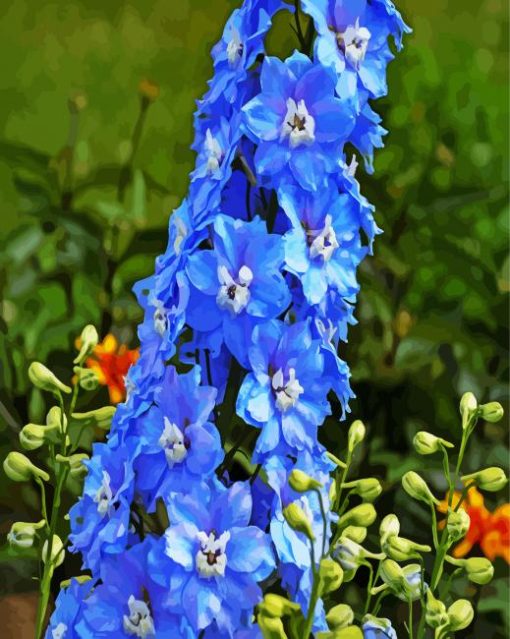 Blue Larkspur Flowers paint by numbers