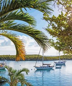 Boating In The Baambmas paint by numbers