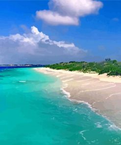 Bonaire Island Beach paint by numbers