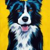 Border Collie paint by numbers