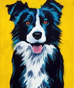 Border Collie paint by numbers