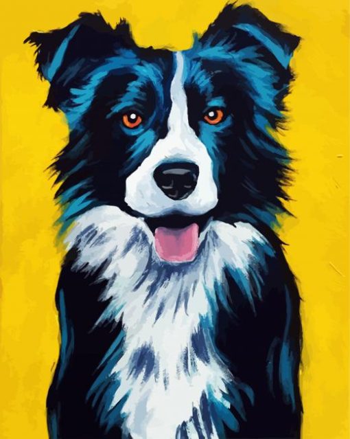 Border Collie paint by numbers