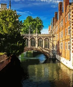 Aesthetic Bridge Of Sighs Cambridgeshire paint by numbers