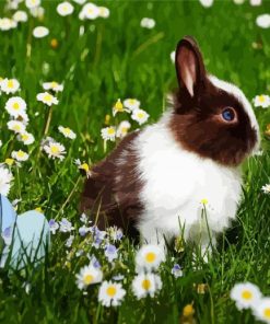 Bunny In Chamomile Field paint by numbers