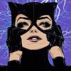 Catwoman Superhero Marvel paint by numbers