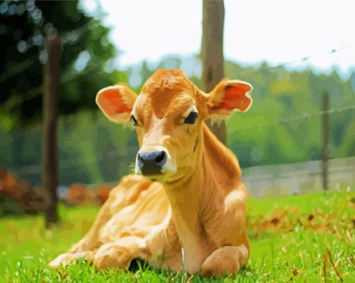 Cute Calf Animaml paint by numbers