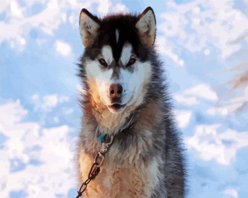 Canadian Eskimo Dog Animal paint by numbers