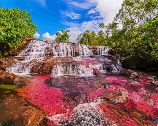 Aesthetic Cano Cristales Columbia paint by numbers