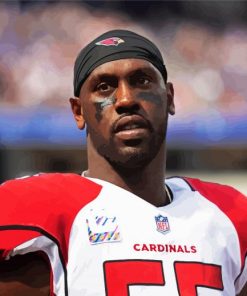 Chandler Jones Cardinals paint by numbers