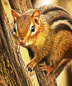 Cute Brown Chipmunk paint by number