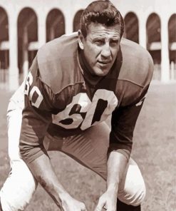 Chuck Bednarik paint by number