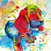 Colrful Basset Dog paint by numbers