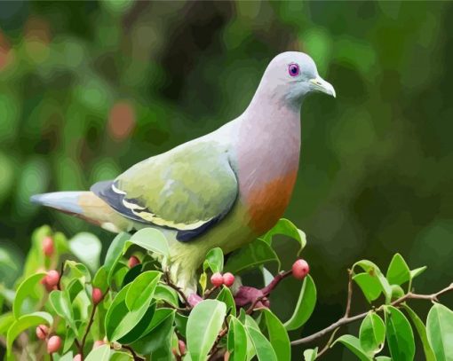 Grey Colombidae Dove Bird paint by numbers