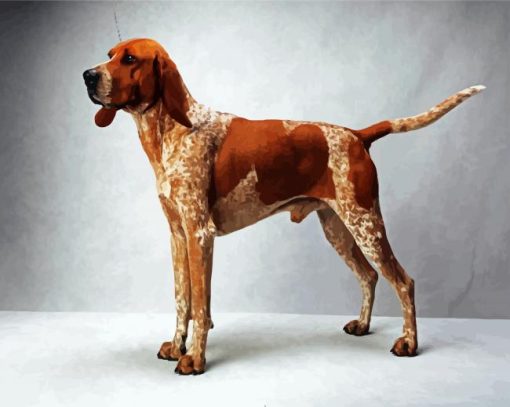 Brown Coonhound Dog Animal paint by numbers