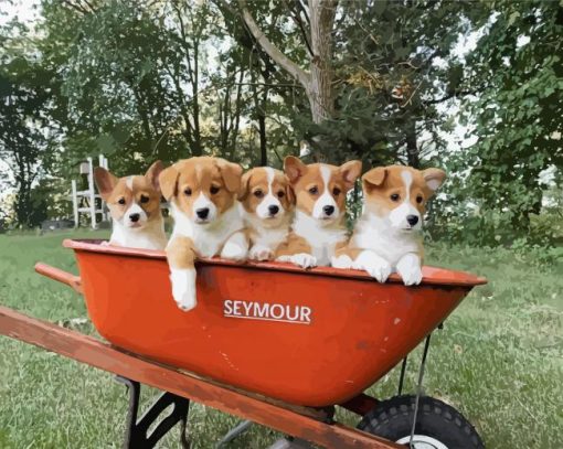 Aesthetic Baby Corgis Animals paint by numbers