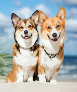 Two Cute Corgis Puppies Animals paint by numbers