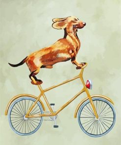 Cyclist Dachshund Dog paint by numbers