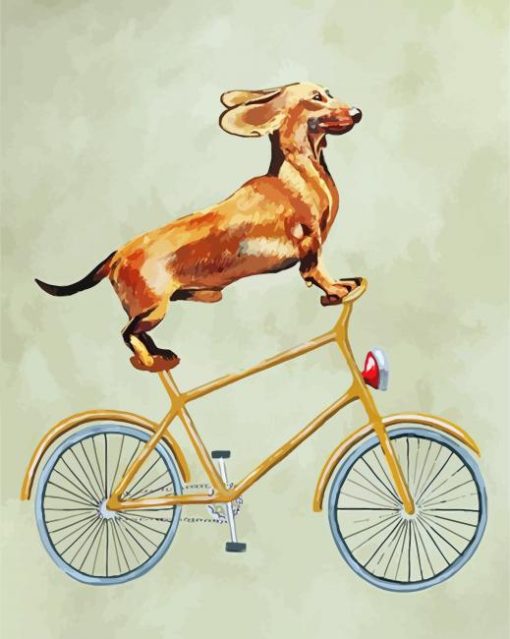 Cyclist Dachshund Dog paint by numbers