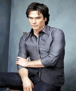 Damon Salvatore Iam Somerhalder paint by numbers