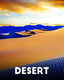 Deserts