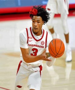 Desi Sills Arkansas Razorbacks Men Basketbeller paint by numbers