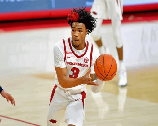 Desi Sills Arkansas Razorbacks Men Basketbeller paint by numbers