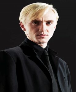 Draco Malfory Character paint by numbers