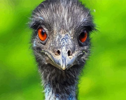 Emu Bird Head paint by numbers