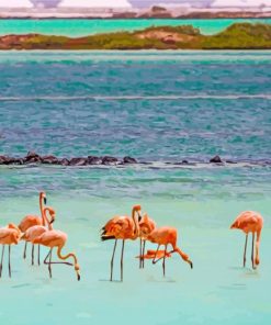 Flamingos In Bonaire paint by numbers