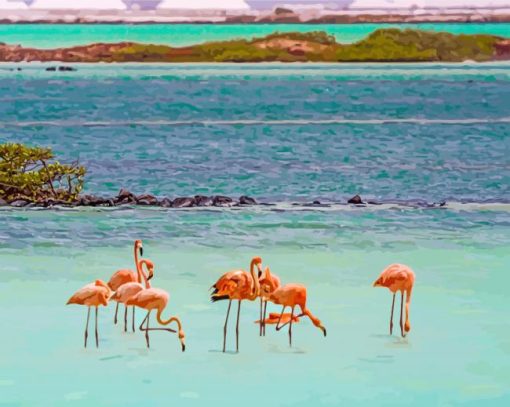 Flamingos In Bonaire paint by numbers