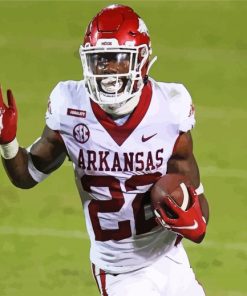 Footballer Arkansas Razorbacks paint by numbers