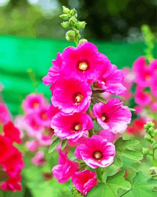 Fuschia Hollyhocks Flowerspaint by numbers