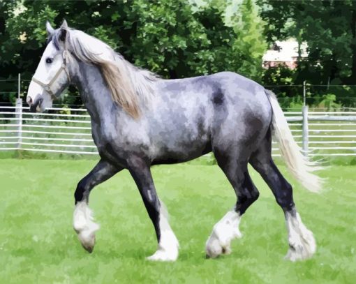 Beautiful Grey Shire Horse Animal paint by numbers