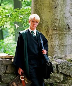 Draco Malfory Harry Potter paint by numbers