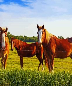 Horses In Fields paint by numbers