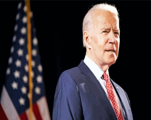 USA President Joe Biden paint by numbers