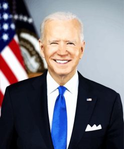 USA Joe Biden paint by numbers