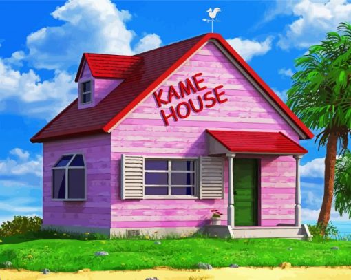 Kame Pink House Building paint by numbers