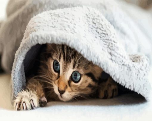 Little Cute Cat In A Blanket paint by numbers