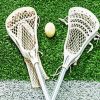 Lacrosse Equipment paint by numbers