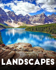 Landscapes