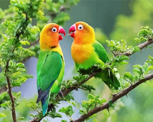 Lovebirds On Tree paint by numbers