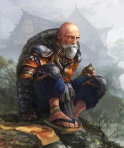 Master Roshi Anime Character paint by numbers